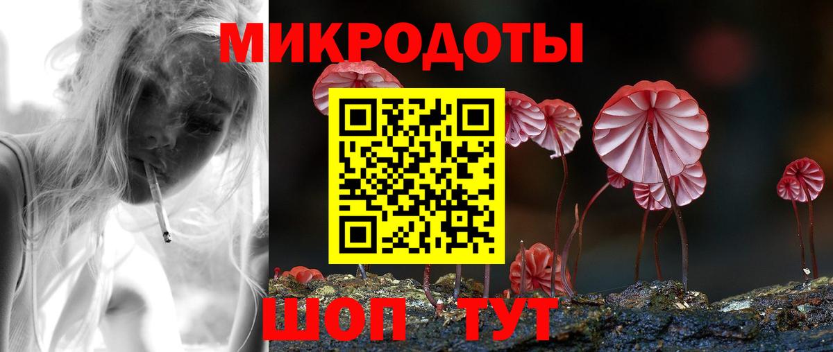 Псилоцибиновые грибы GOLDEN TEACHER Орёл